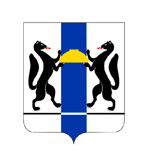 РГИС НСО logo