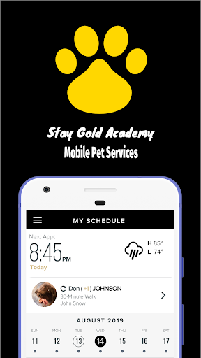Android application Stay Gold screenshort
