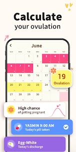 Period Calendar Period Tracker 3