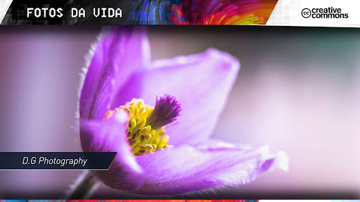 Divermidia Screen 3