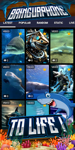 shark wallpaper Screenshot 2 - AppWisp.com