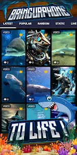 fondo de pantalla de tiburón