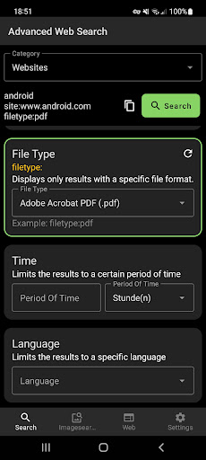 Advanced Web Search Screen 3
