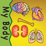 Body Organs 4 Kids icon