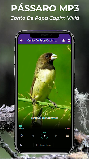 Canto De Papa-Capim viviti Screen 2