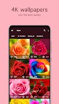 screenshot of Rose Wallpapers 4K