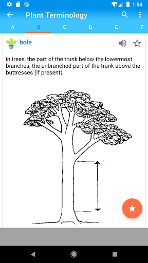 Plant Terminology A-Z Complete Screen 2