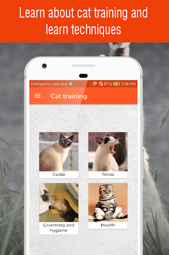 Android application cat training guide app screenshort