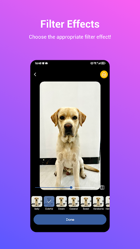 Pawsper Screen 2