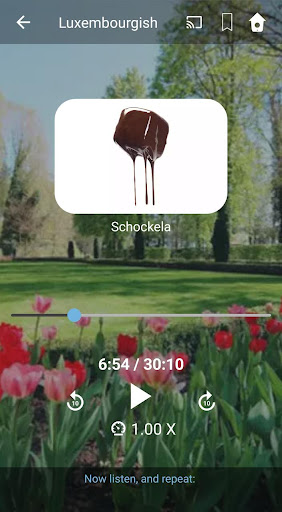 Learn Luxembourgish. Speak Lux Screen 3