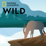 National Wild Geo: Planet Earth Apk
