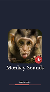 Sonidos de mono