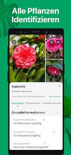 PictureThis Pflanzen bestimmen Screenshot