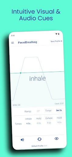 Paced Breathing Screen 2