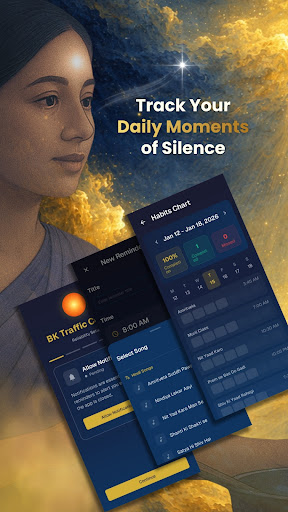 BK Habits  Traffic Control