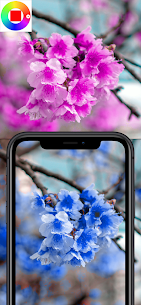 Color Changing Camera APK 1.318 for android 3