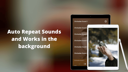 Chickadee Sounds Screen 3
