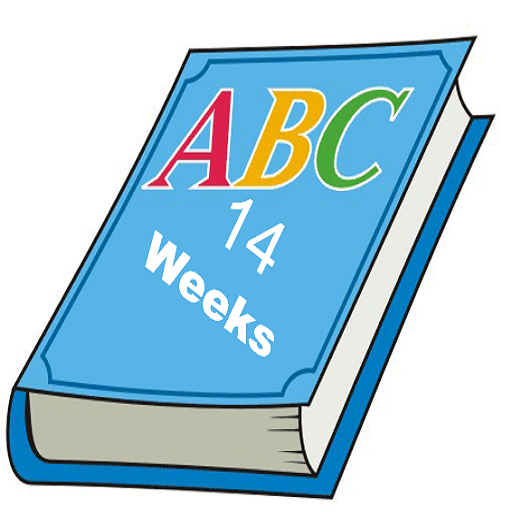 اهم مفردات انجليزية للمبتدئين Download on Windows