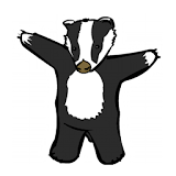 Badgers icon