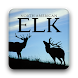 North American Elk - Androidアプリ