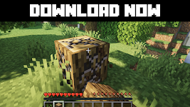 screenshot of Mod Master for Minecraft MCPE