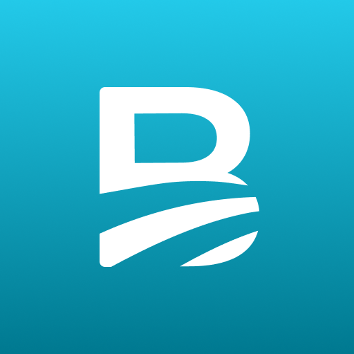 BACB Pay logo