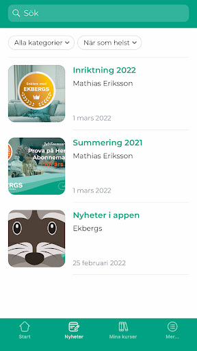 Ekbergs Screen 3