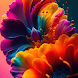Colorful Wallpapers 2023 HD 4K - Androidアプリ