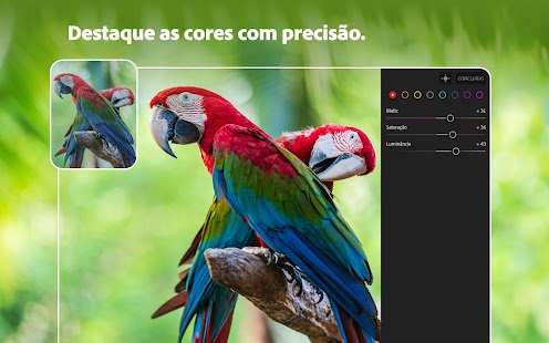 Lightroom Edite fotos e vídeos Screenshot