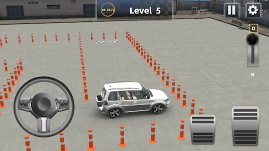 Car Crazy - Parking Games 3D