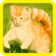 Cat Color Number - Pixel Art Download on Windows