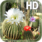 Cactus Flowers LWP icon