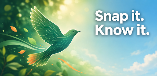 AvianAI - Bird Identifier