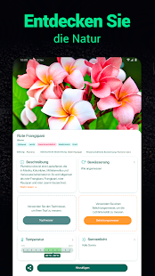 Plantum - Pflanzen bestimmen Screenshot
