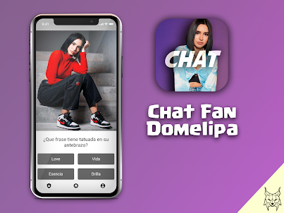 Chat Fans de Domelipa