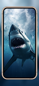Shark Wallpaper