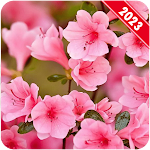Cover Image of Download Spring Wallpaper  APK