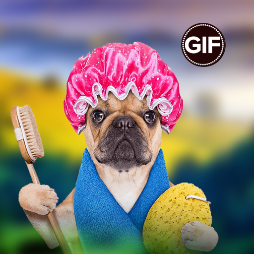 Funny Animals Gif logo