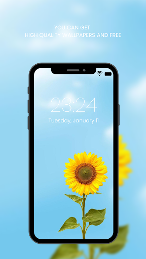 Screenshot of Sunflower Wallpaper HD