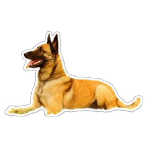 Sticker Dog husk wastickers logo