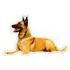 Sticker Dog husk wastickers - Androidアプリ