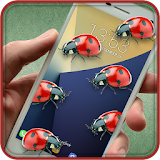 Ladybug On Screen Prank icon