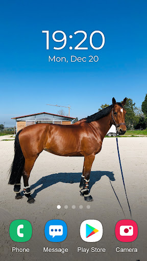 Horse Wallpaper 2023 Screen 2