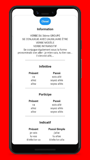 French Conjugaison Screen 3