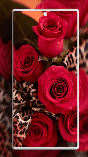 Screenshot of Rose Wallpaper
