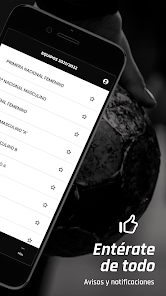 Screenshot 3 Balonmano Dominicos android