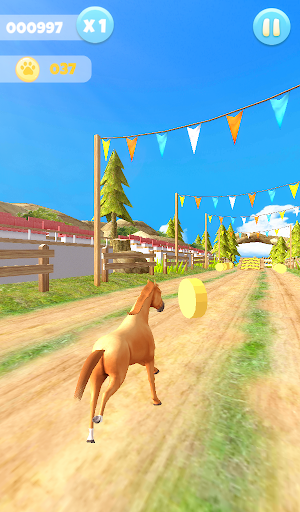 Horse Run 11