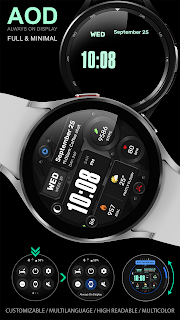 WFP 245 Digital watch face