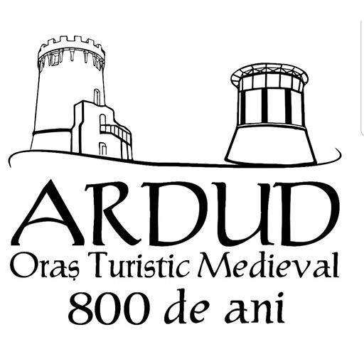 Discover Ardud  Icon