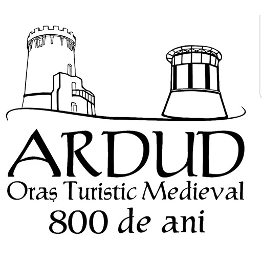 Discover Ardud logo